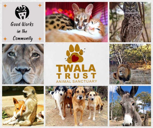 Twala Trust Animal collage