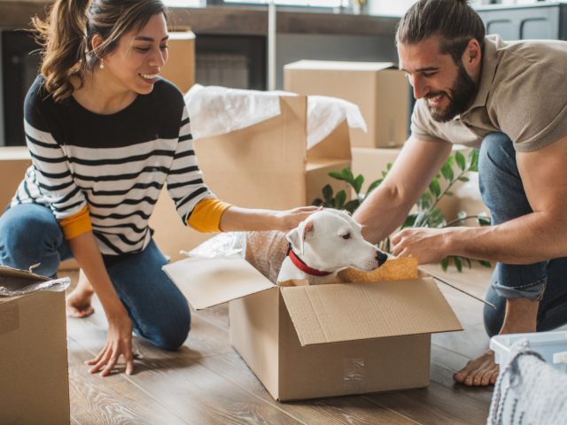From Boxes to Brand Love – How to Turn New Movers into New Customers