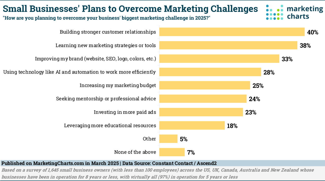 Constant Challenges How Small Businesses Plan to Overcome Marketing Challenges in 2025 ...