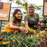 new mover marketing for garden centers