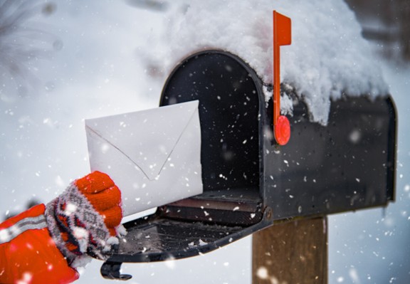 Include Exclusive Holiday Offers