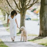 Dog and owner walking through a new neighborhood on National Dog Day